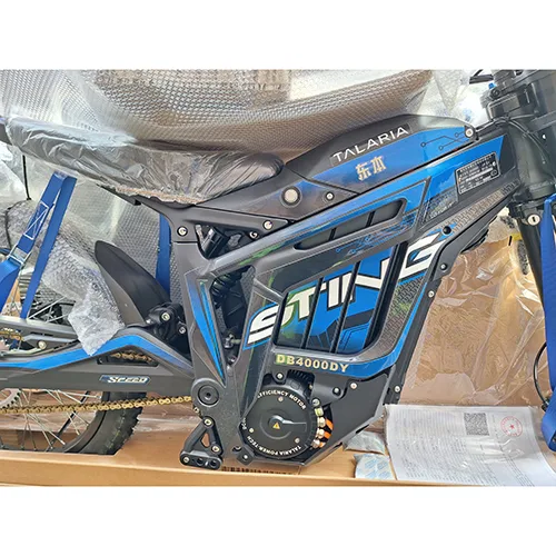 Electric motorcycle