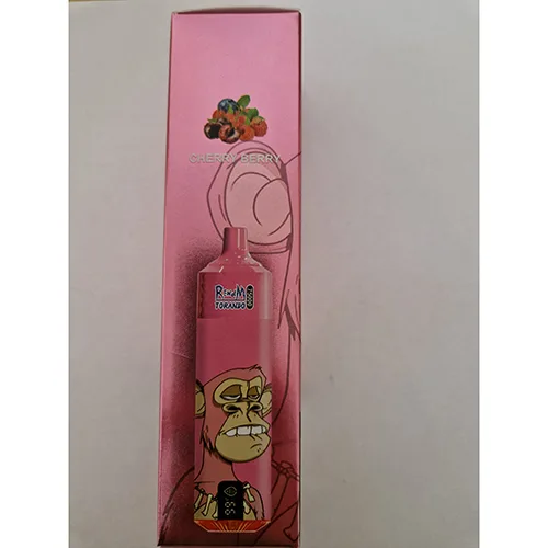 Disposable electronic cigarette