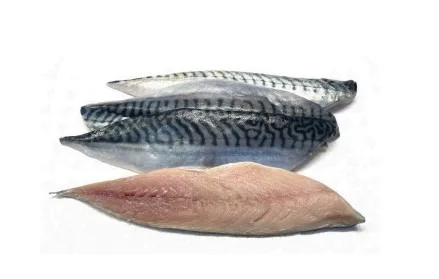 Filet de maquereau
