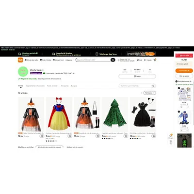 Fancy dress costume