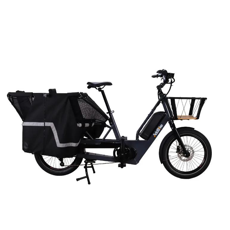 Electric bicycle