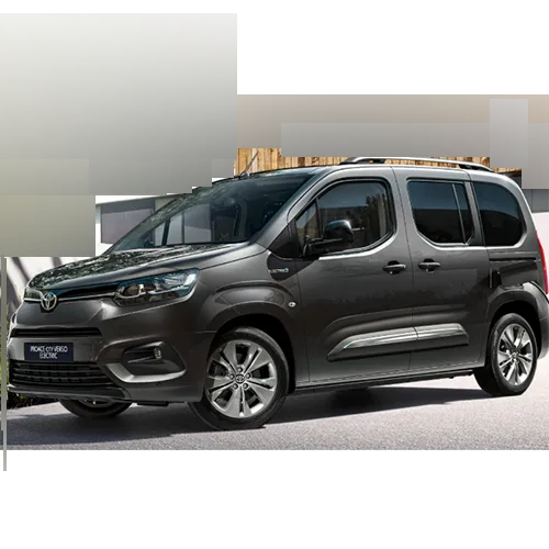Passenger van / Light commercial vehicle