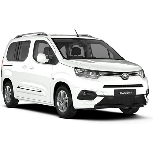 Passenger van / Light commercial vehicle
