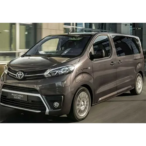 Passenger van / Light commercial vehicle