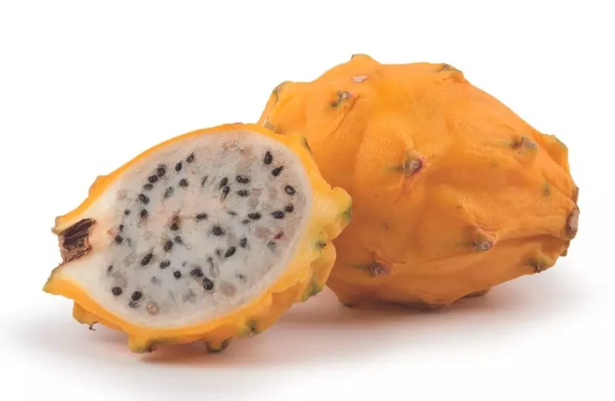Pitaya jaune