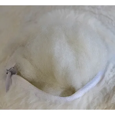 Plush toy