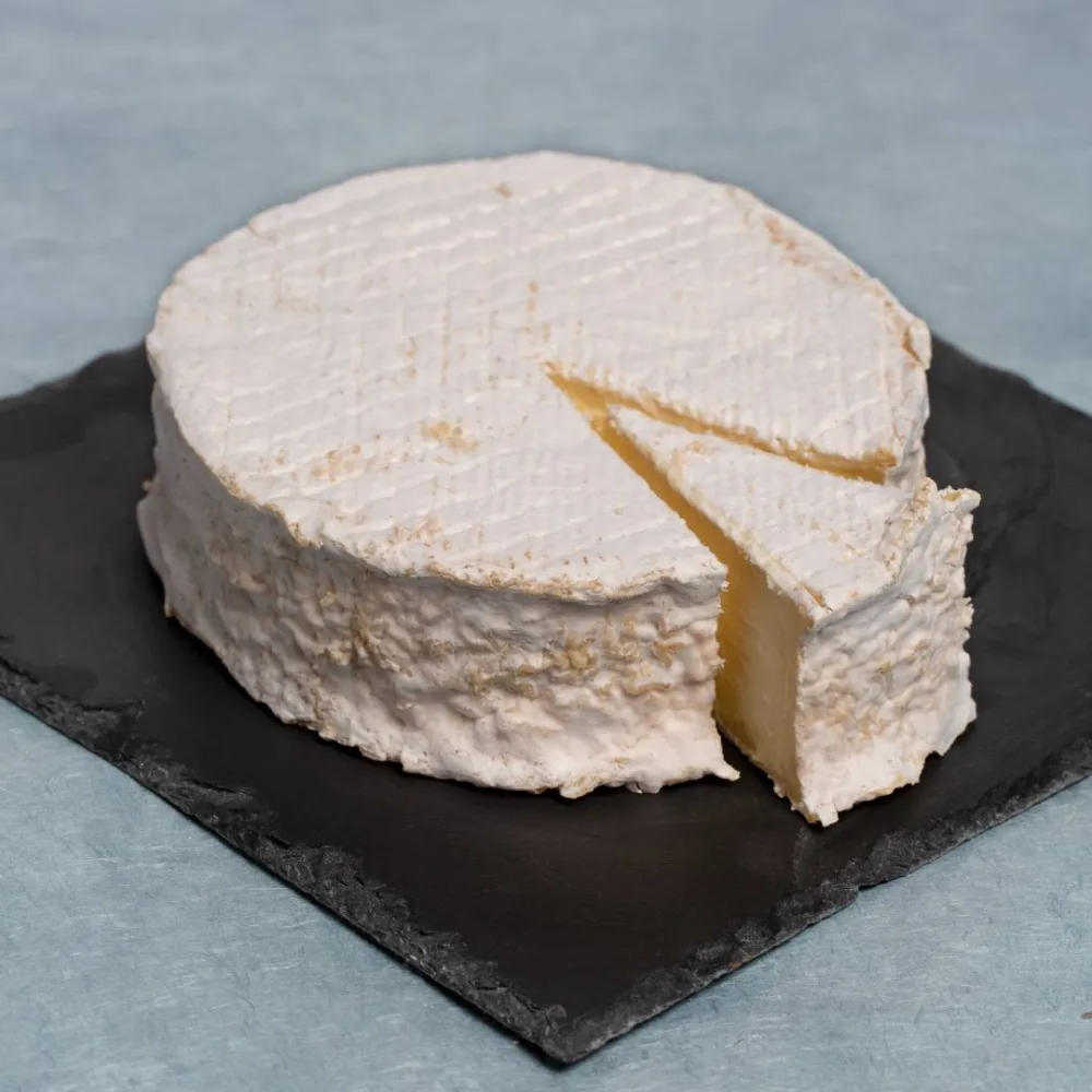 Faisselle / skyr / fromage blanc / brie / coulommiers