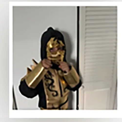 Fancy-dress costume