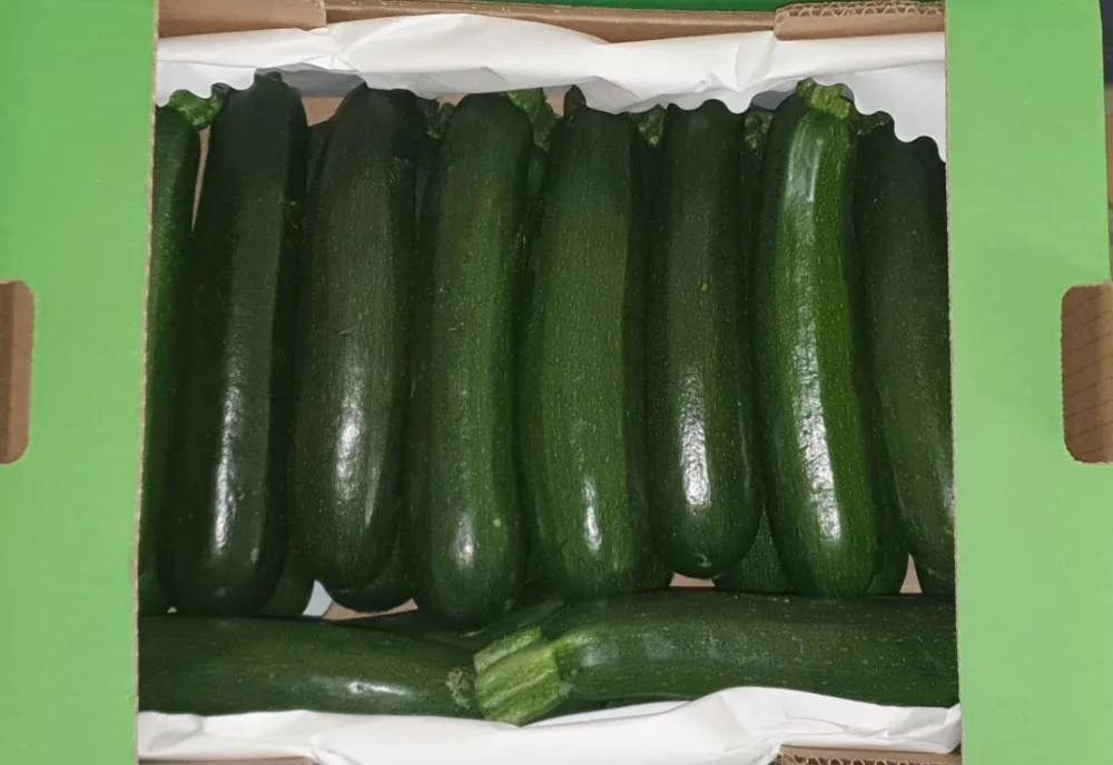 Courgette