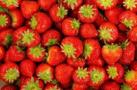 Fraise