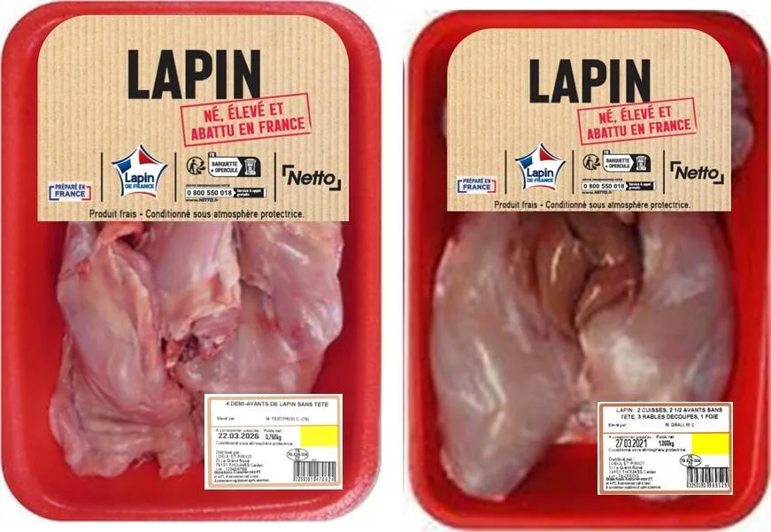Lapin