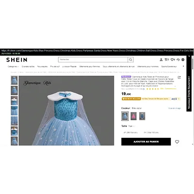 Fancy-dress costume