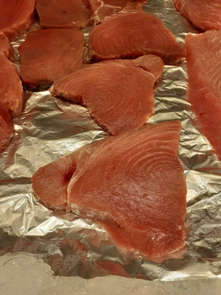 Thon albacore