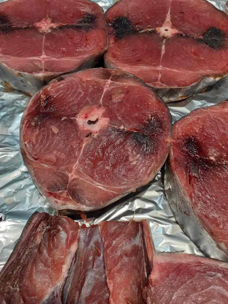 Thon albacore