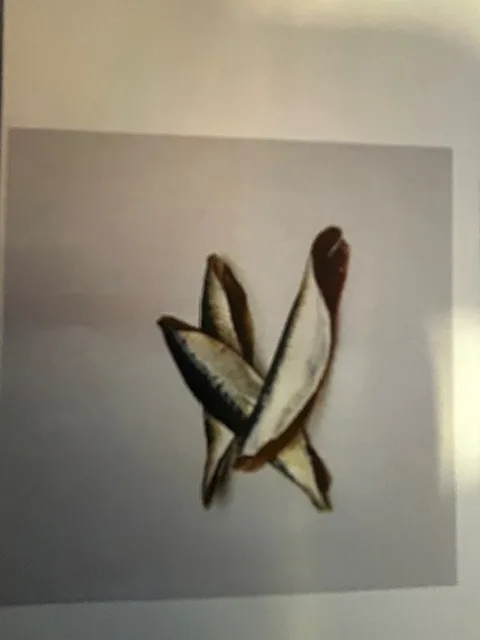 Filets de sardines butterfly