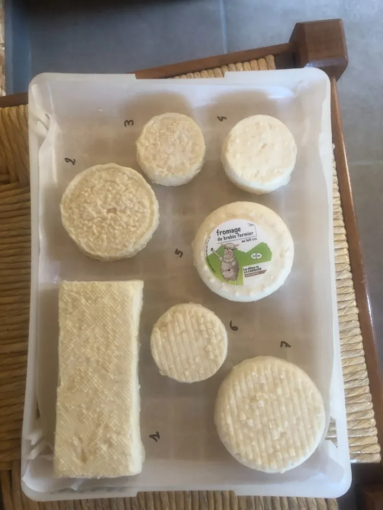 Fromage de brebis fermier