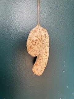 Saucisson kikisson