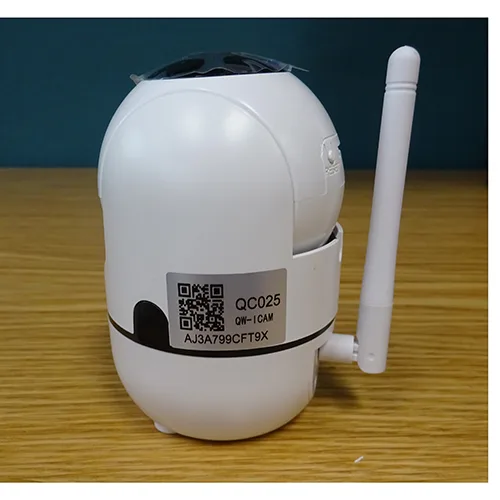 Surveillance camera
