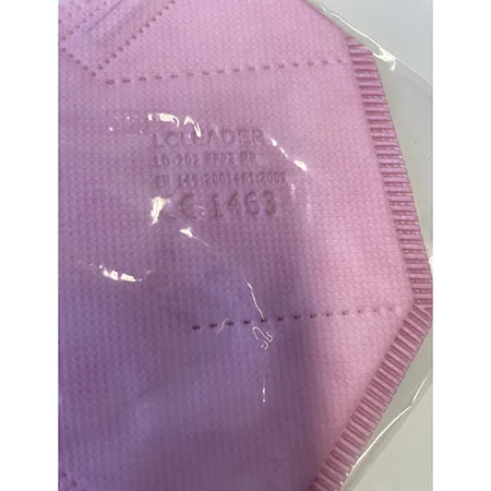 Particle filter mask