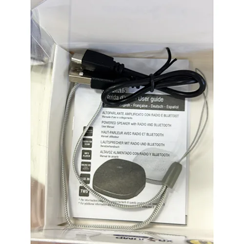 Speaker