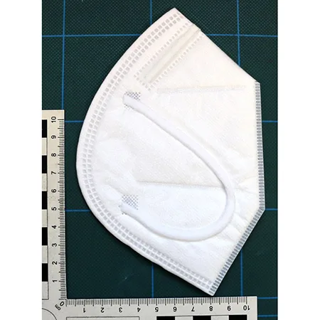 Particle filter mask