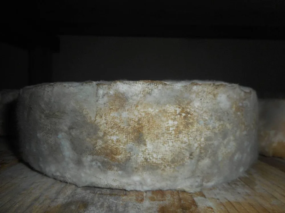 Tomme nature