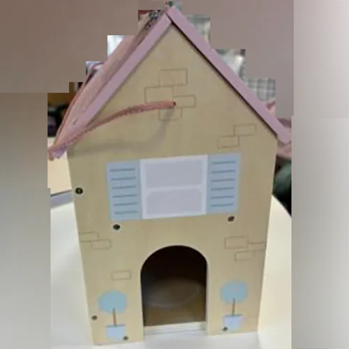 Doll's house