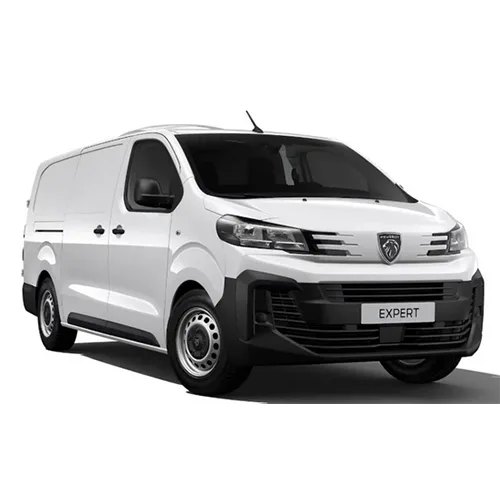 Passenger van / Light commercial vehicle