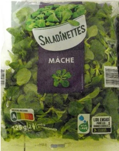Mâche