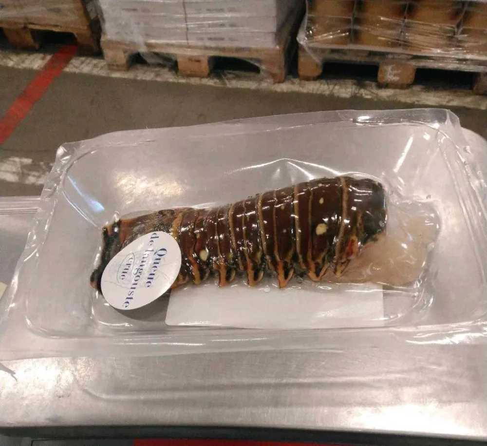Queue de langouste crue