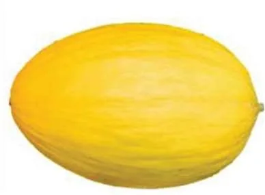 Melon jaune