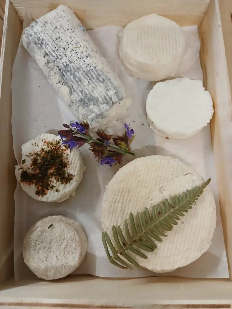 Fromages de chèvre fermiers au lait cru