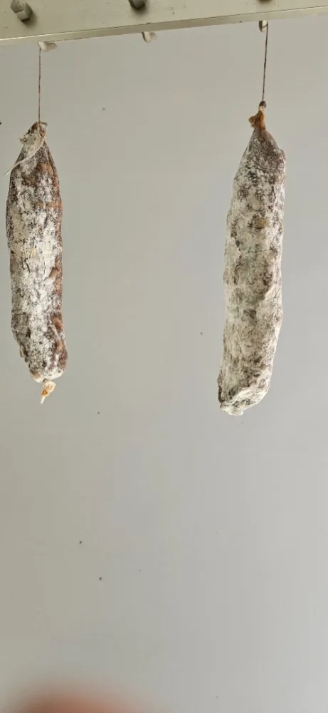 Saucisson sec