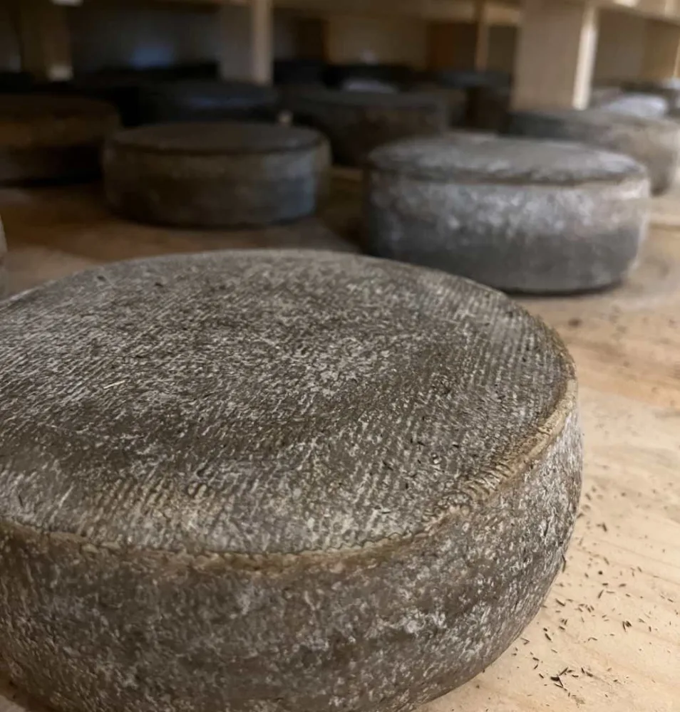 Tomme de vendée