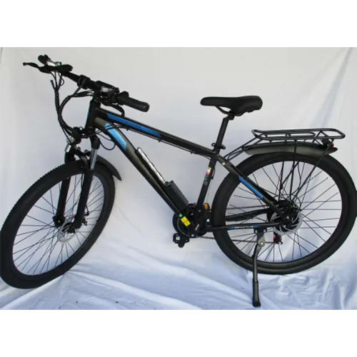 Electric bicycle