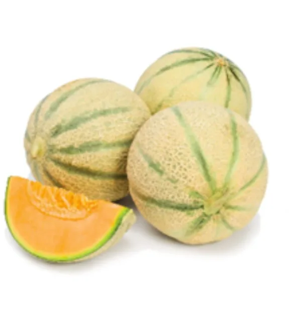 Melon charentais