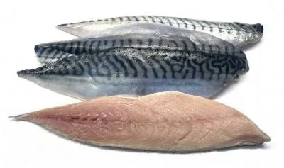Filets de maquereaux