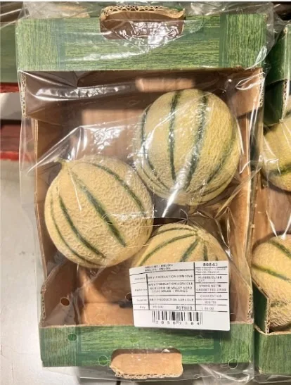 Melon charentais caissette