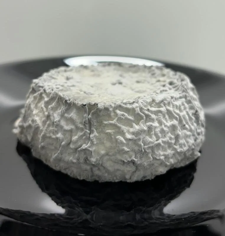 Fromages de chèvre ronds cendrés