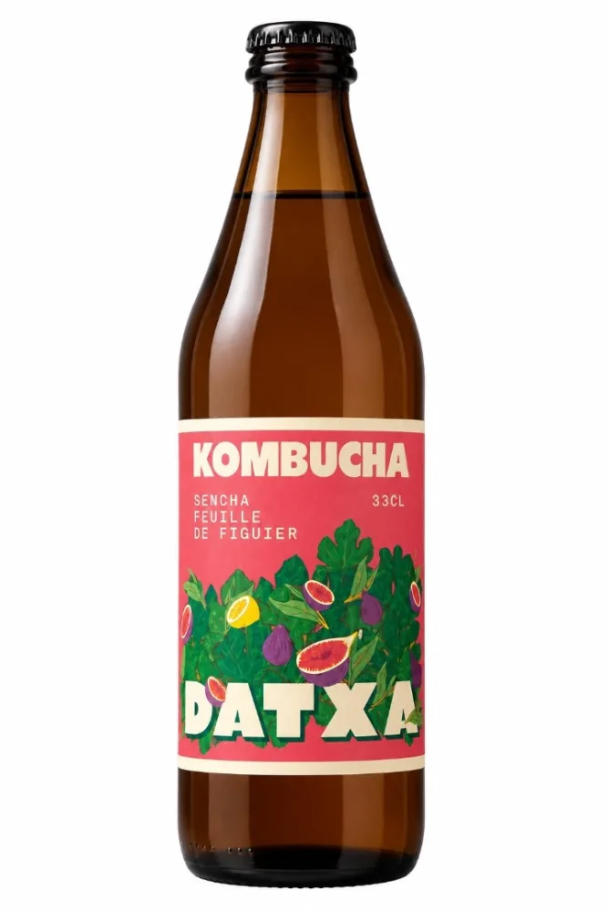 Kombucha sencha feuille de figuier