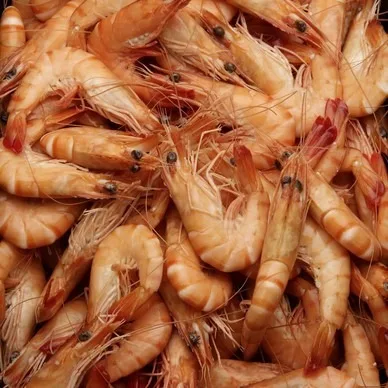 Crevettes cuites 30/50