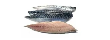 Filet de maquereaux