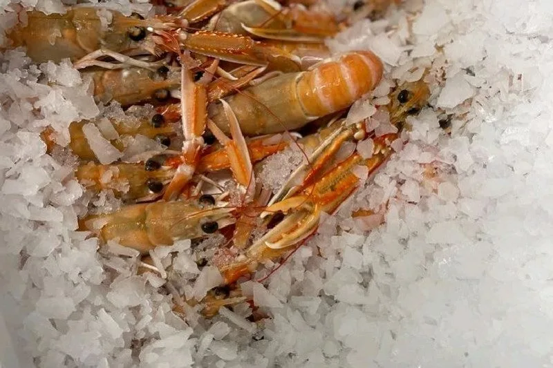 Langoustines glacées 20/40