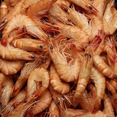 Crevettes cuites 20/30