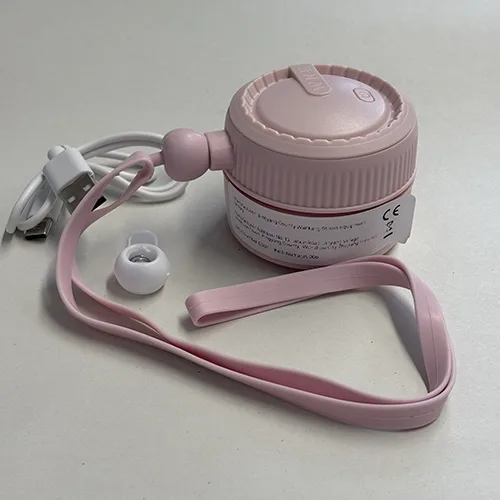 Portable fan