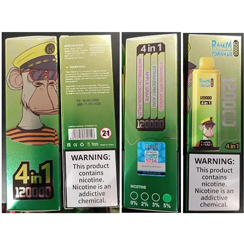 Disposable electronic cigarette