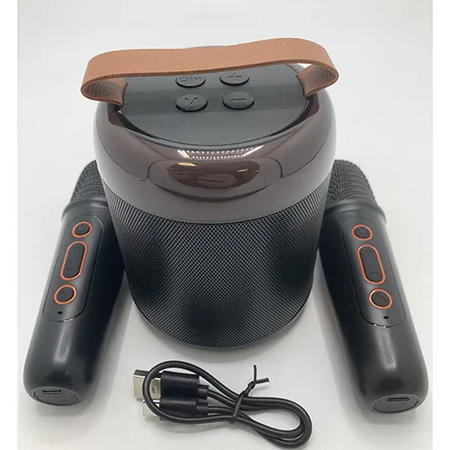 Karaoke set