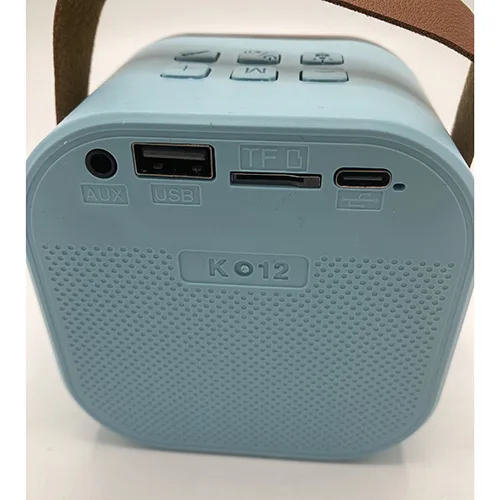 Wireless Karaoke set
