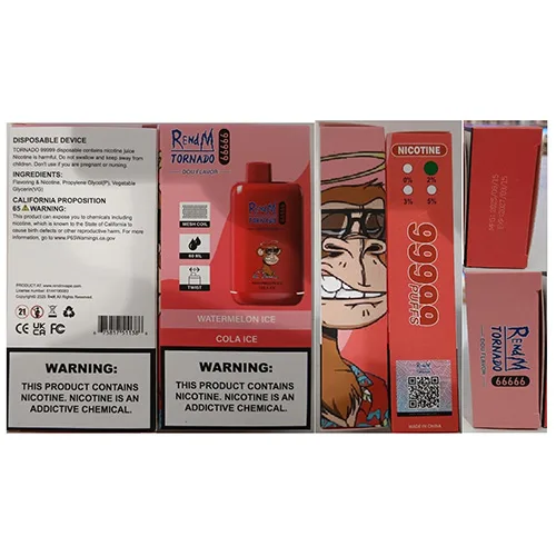 Disposable electronic cigarette