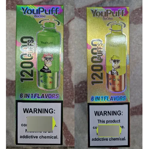 Disposable electronic cigarette